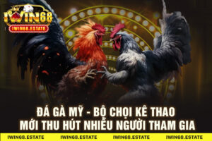Đá Gà Mỹ